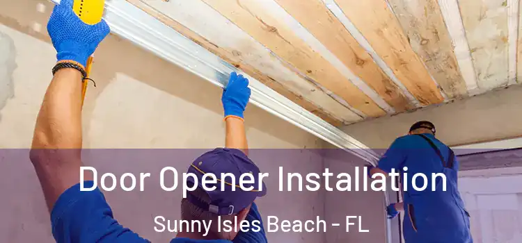 Door Opener Installation Sunny Isles Beach - FL