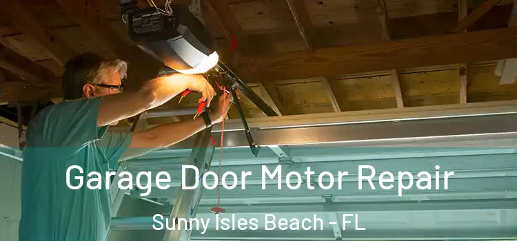  Garage Door Motor Repair Sunny Isles Beach - FL