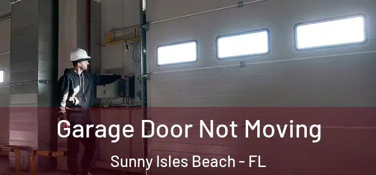  Garage Door Not Moving Sunny Isles Beach - FL