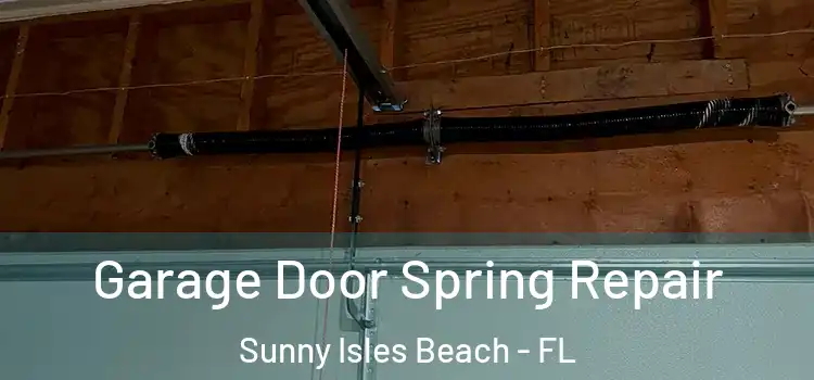  Garage Door Spring Repair Sunny Isles Beach - FL