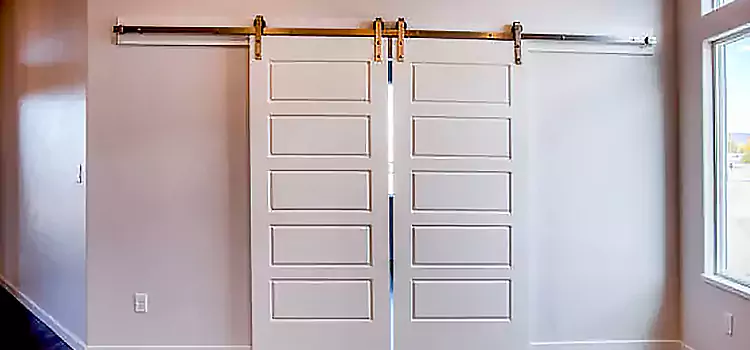 Glass Barn Door with Installation Hardware Kit Sunny Isles Beach